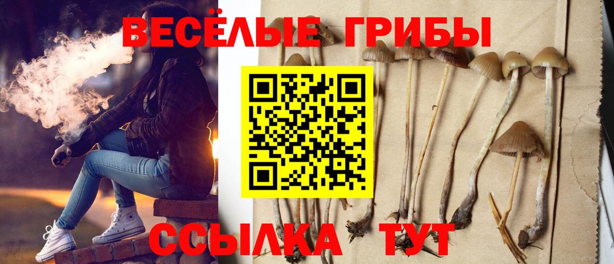 Псилоцибиновые грибы мицелий  Вход с VPN  купить наркоту  Протвино 